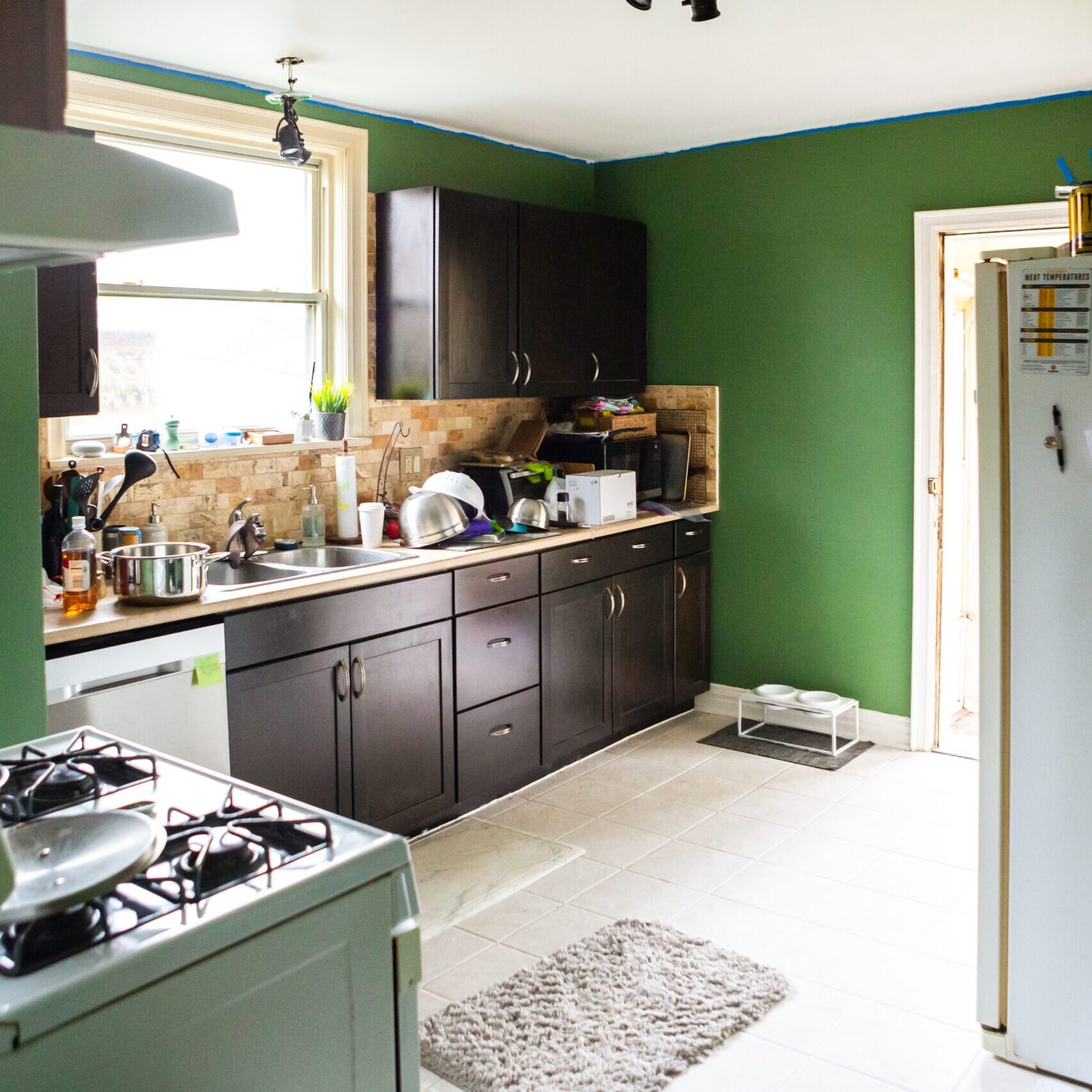 green-painted-kitchen-in-newly-moved-into-home-wit-2025-01-08-23-47-14-utc